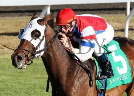 Brass Hat - The Sycamore Keeneland