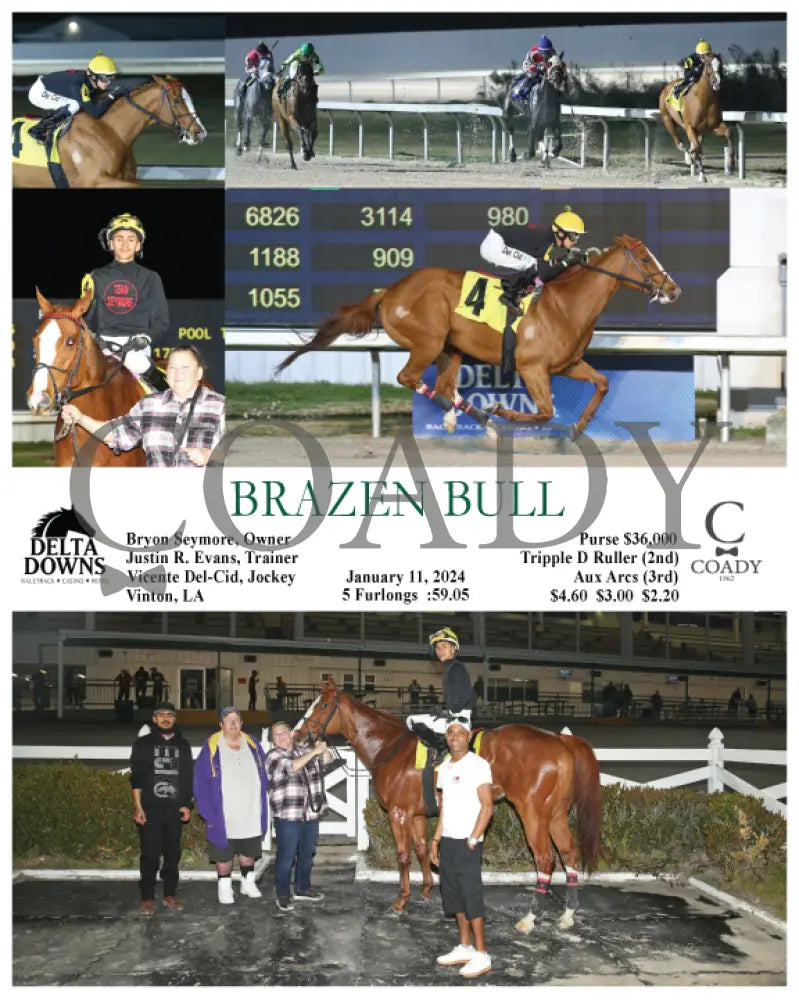 Brazen Bull - 01-11-24 R07 Ded Delta Downs
