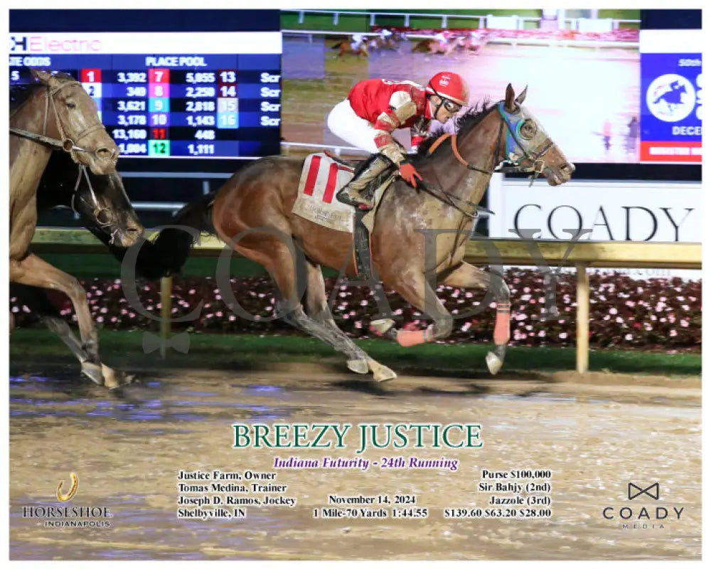 Breezy Justice - 111424 Race 09 Ind Action Indiana Grand