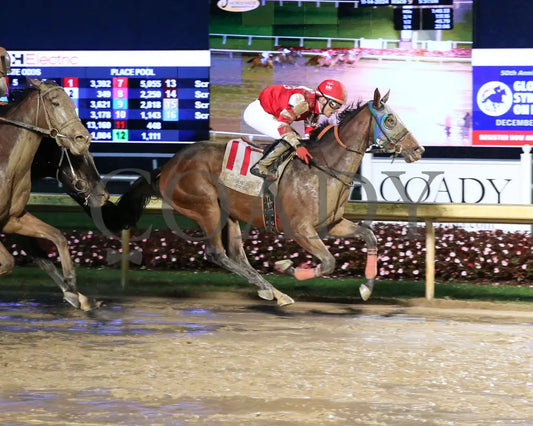 Breezy Justice - 111424 Race 09 Ind Finish01 Indiana Grand