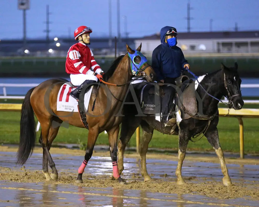 Breezy Justice - 111424 Race 09 Ind Post Parade01 Indiana Grand