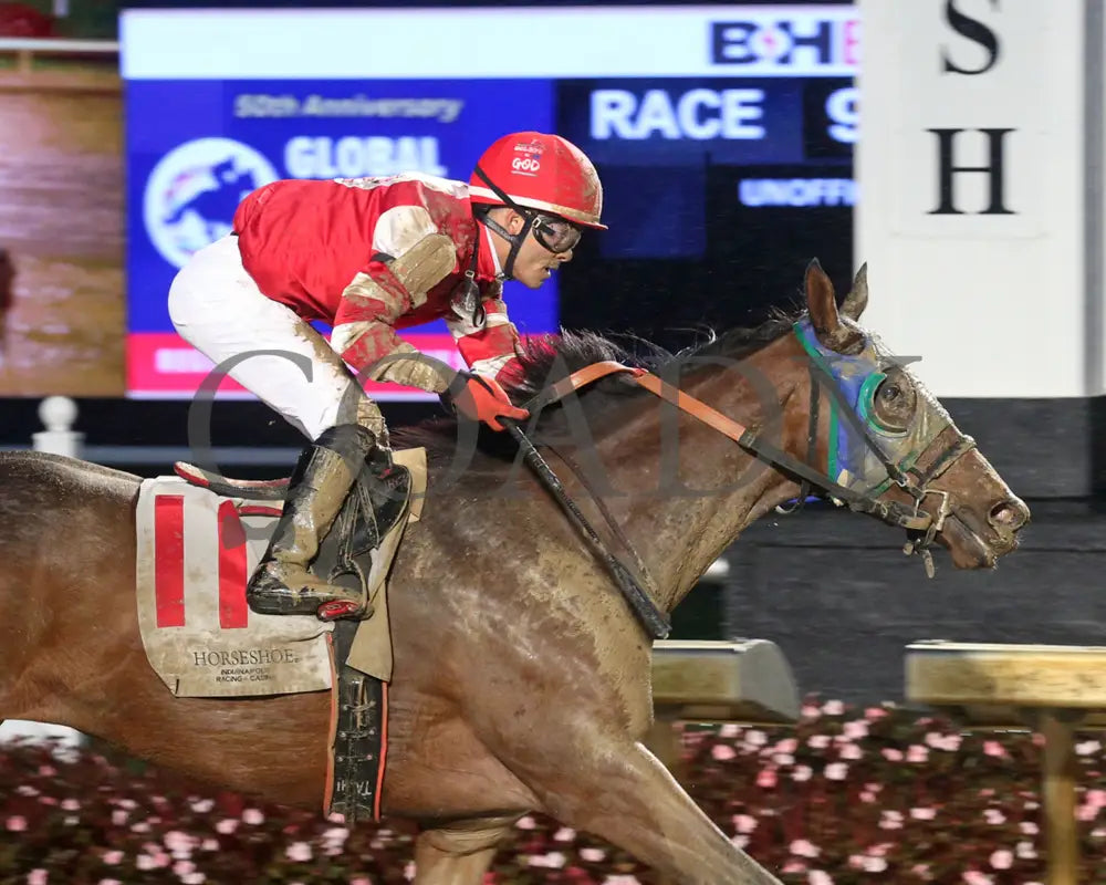 Breezy Justice - 111424 Race 09 Ind Tight Finish01 Indiana Grand