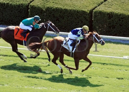 Bridgetown - 100612 Race 05 Aerial Keeneland
