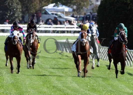 Bridgetown - 100612 Race 05 Head On Keeneland