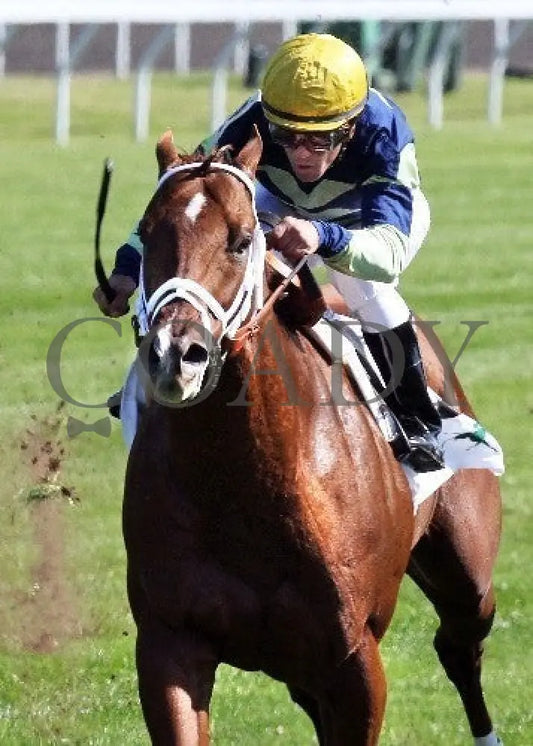 Bridgetown - 100612 Race 05 Inside 1 Keeneland