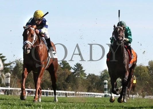 Bridgetown - 100612 Race 05 Under Rail Keeneland