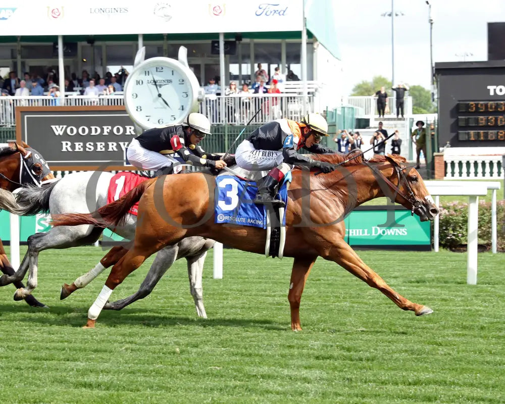 BRIDLE A BUTTERFLY - The William Walker - 04-30-25 - R09 - CD - Finish 01 Churchill Downs