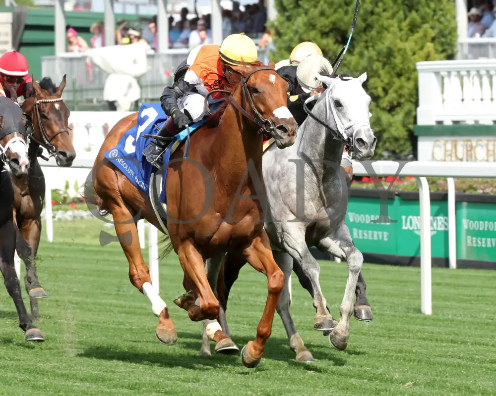BRIDLE A BUTTERFLY - The William Walker - 04-30-25 - R09 - CD - Finish 02 Churchill Downs