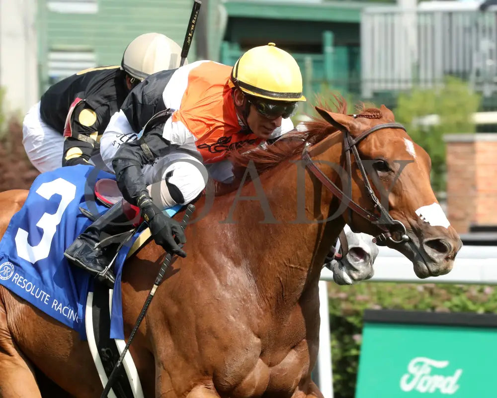 BRIDLE A BUTTERFLY - The William Walker - 04-30-25 - R09 - CD - Finish 03 Churchill Downs
