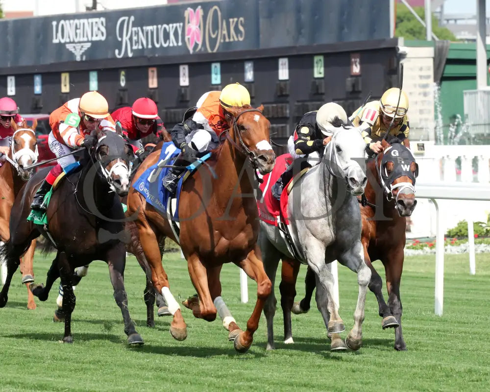 BRIDLE A BUTTERFLY - The William Walker - 04-30-25 - R09 - CD - Finish 04 Churchill Downs