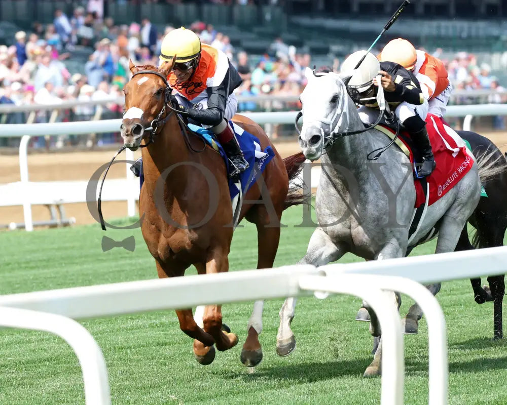 BRIDLE A BUTTERFLY - The William Walker - 04-30-25 - R09 - CD - Inside Finish 01 Churchill Downs