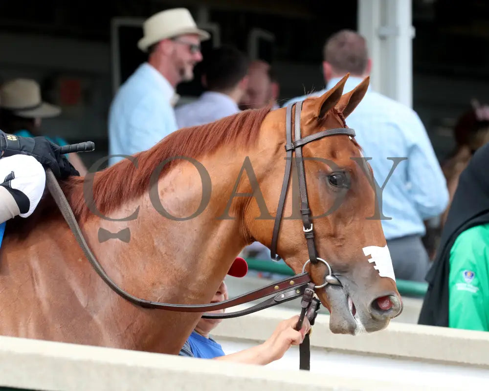 BRIDLE A BUTTERFLY - The William Walker - 04-30-25 - R09 - CD - Post Parade 01 Churchill Downs