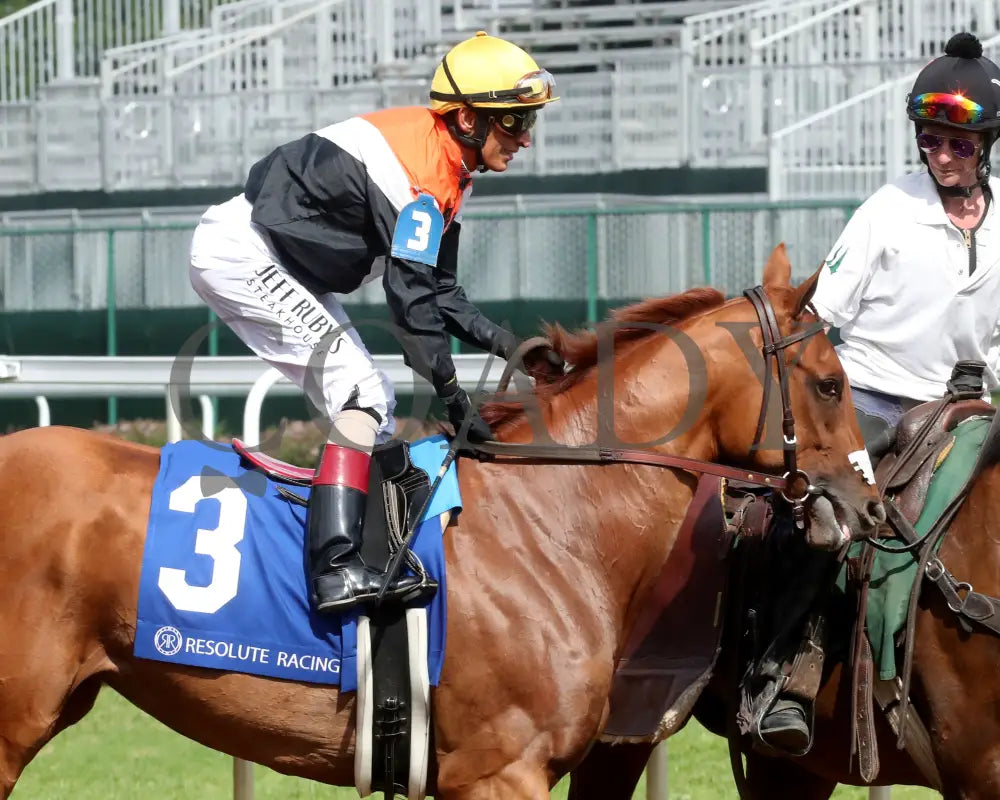 BRIDLE A BUTTERFLY - The William Walker - 04-30-25 - R09 - CD - Post Parade 02 Churchill Downs