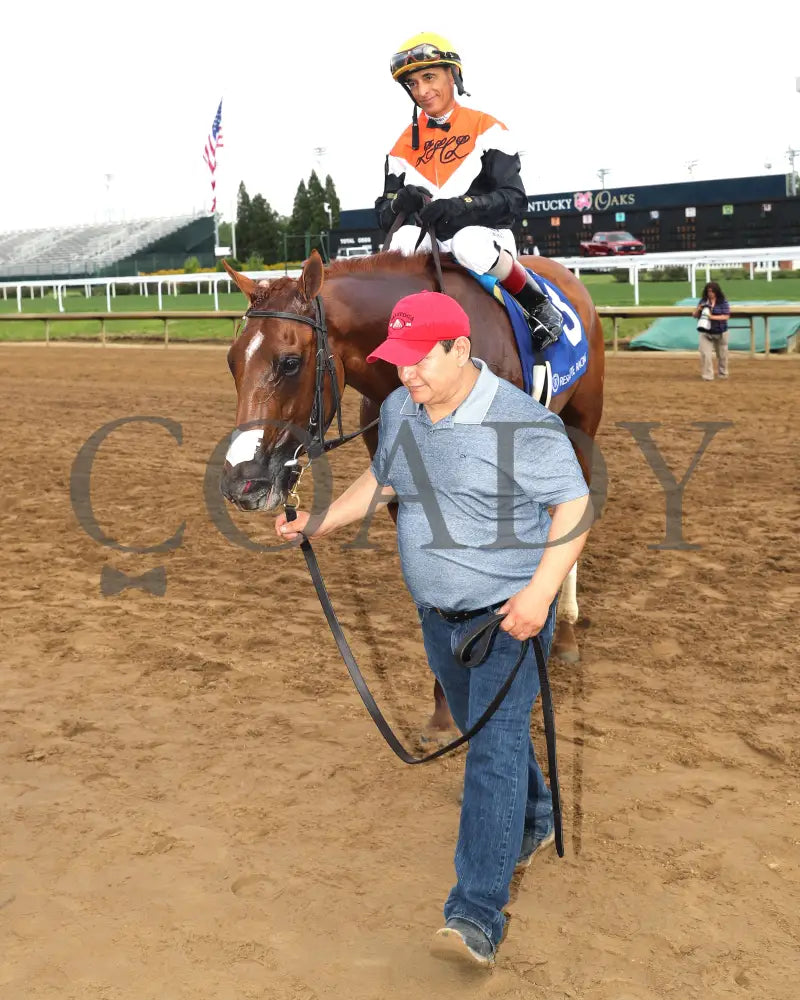 BRIDLE A BUTTERFLY - The William Walker - 04-30-25 - R09 - CD - Walk In 01 Churchill Downs