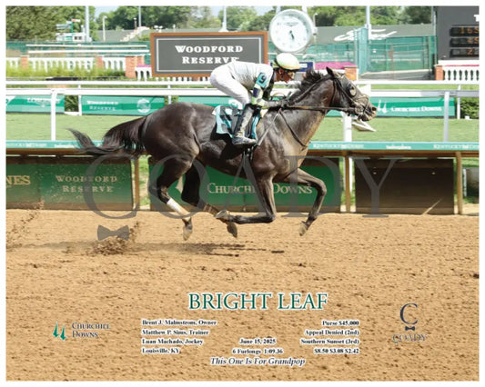 BRIGHT LEAF - 06-15-25 - R10 - CD - Action Churchill Downs