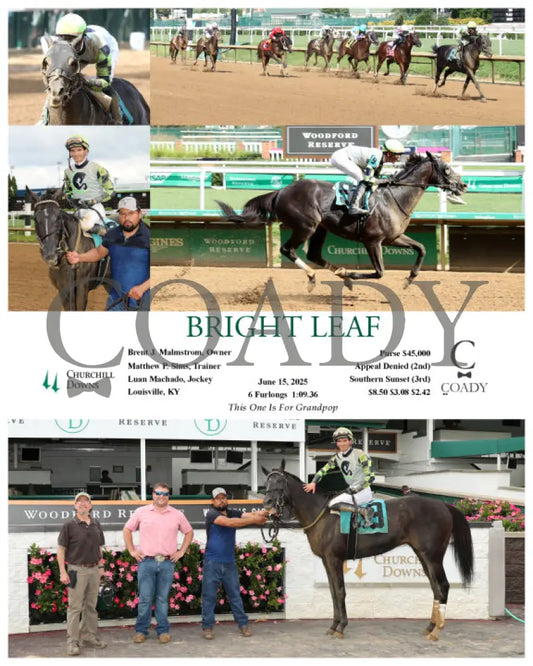 BRIGHT LEAF - 06-15-25 - R10 - CD Churchill Downs