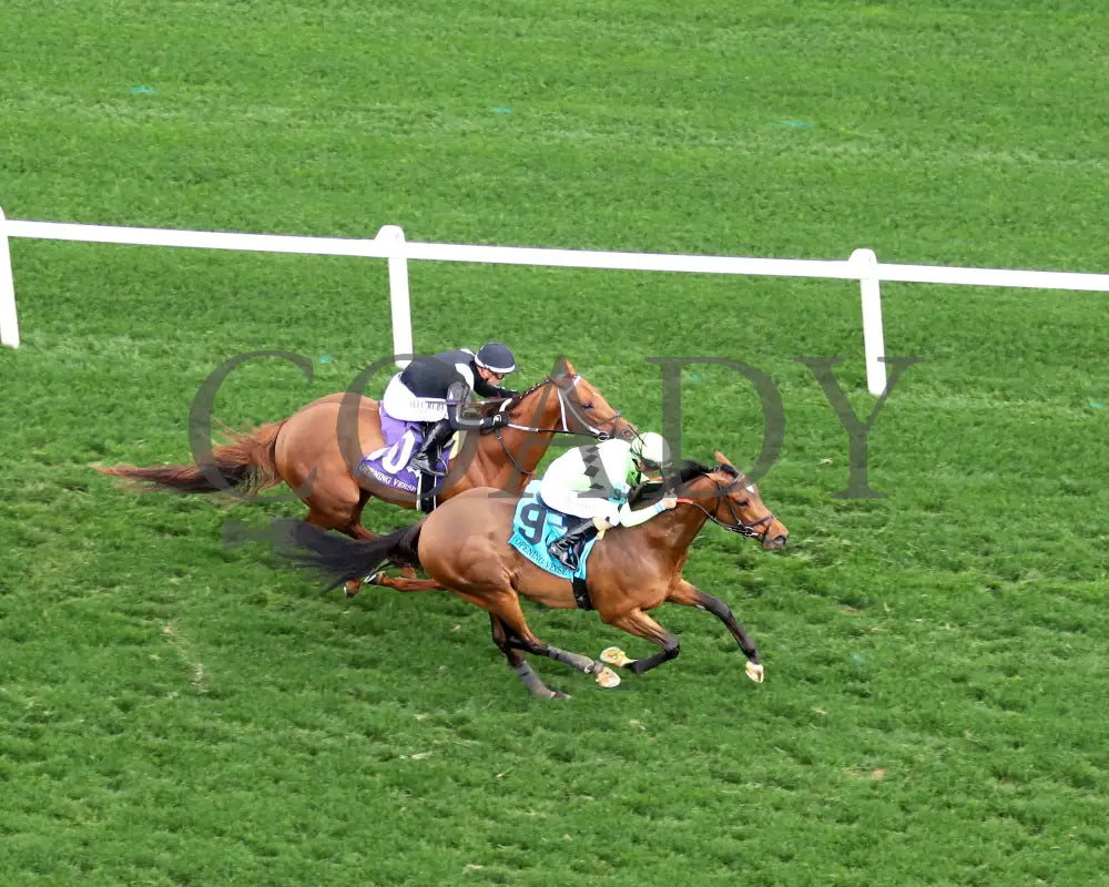 BRILLIANT BERTI - 050125 - Race 10 - CD - Aerial Finish 01 Churchill Downs