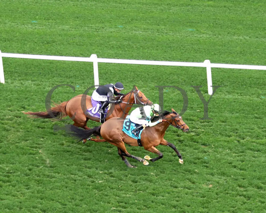 BRILLIANT BERTI - 050125 - Race 10 - CD - Aerial Finish 01 Churchill Downs