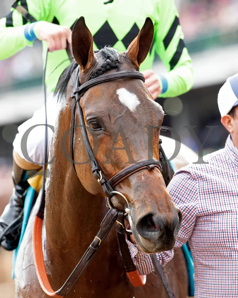 BRILLIANT BERTI - 050125 - Race 10 - CD - Come Back 02 Churchill Downs
