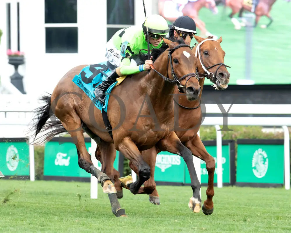BRILLIANT BERTI - 050125 - Race 10 - CD - Finish 02 Churchill Downs