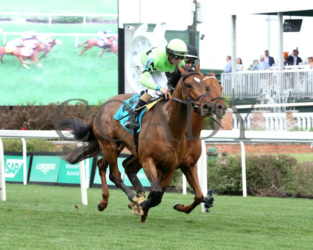 BRILLIANT BERTI - 050125 - Race 10 - CD - Finish 03 Churchill Downs