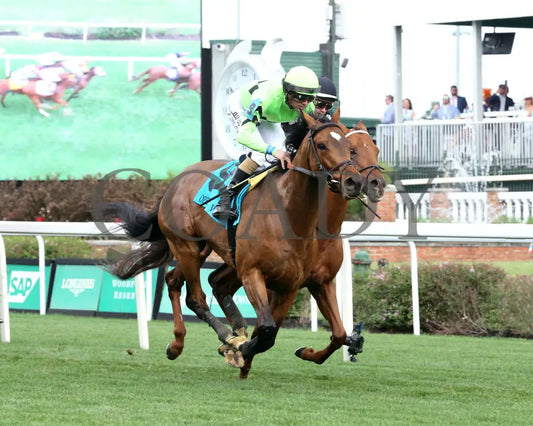 BRILLIANT BERTI - 050125 - Race 10 - CD - Finish 03 Churchill Downs