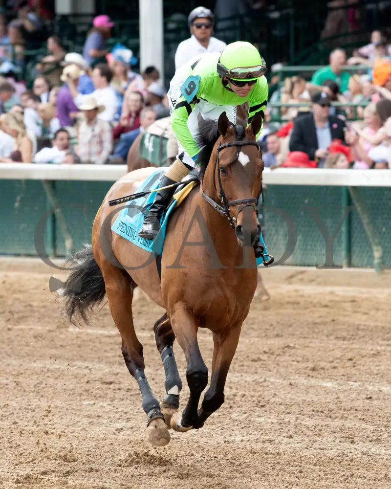 BRILLIANT BERTI - 050125 - Race 10 - CD - Post Parade 01 Churchill Downs