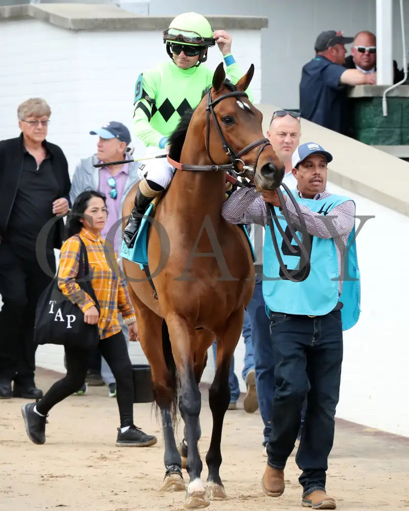 BRILLIANT BERTI - 050125 - Race 10 - CD - Post Parade 02 Churchill Downs