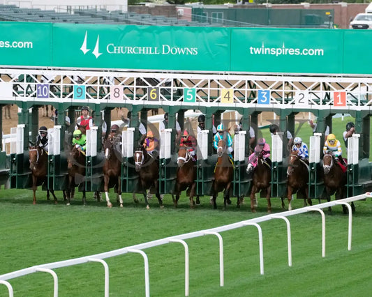 BRILLIANT BERTI - 050125 - Race 10 - CD - Starting Gate 01 Churchill Downs