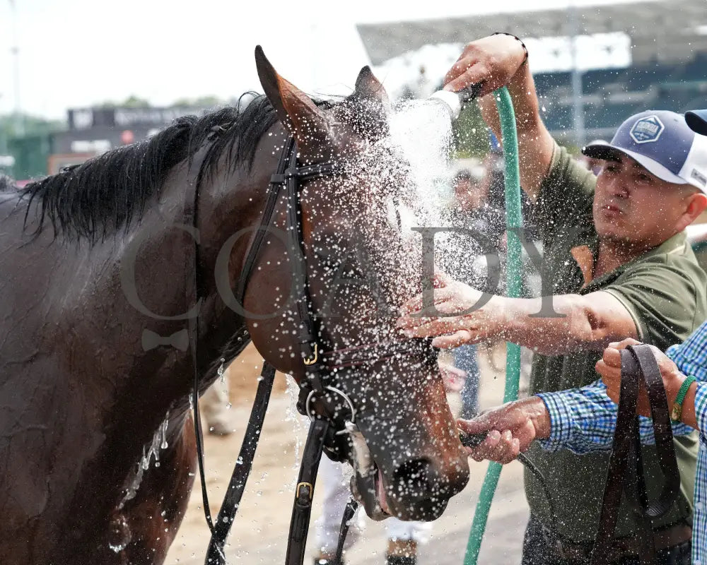 BRILLIANT BERTI - 062825 - Race 10 - CD - Comeback 05 Churchill Downs