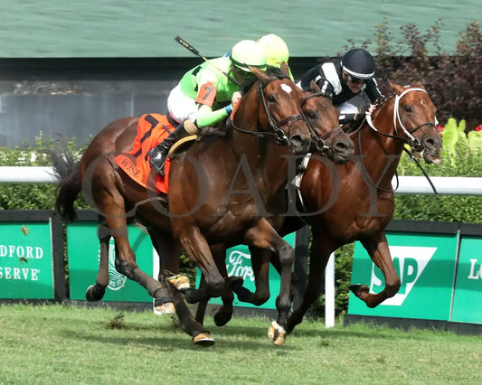 BRILLIANT BERTI - 062825 - Race 10 - CD - Finish 02 Churchill Downs