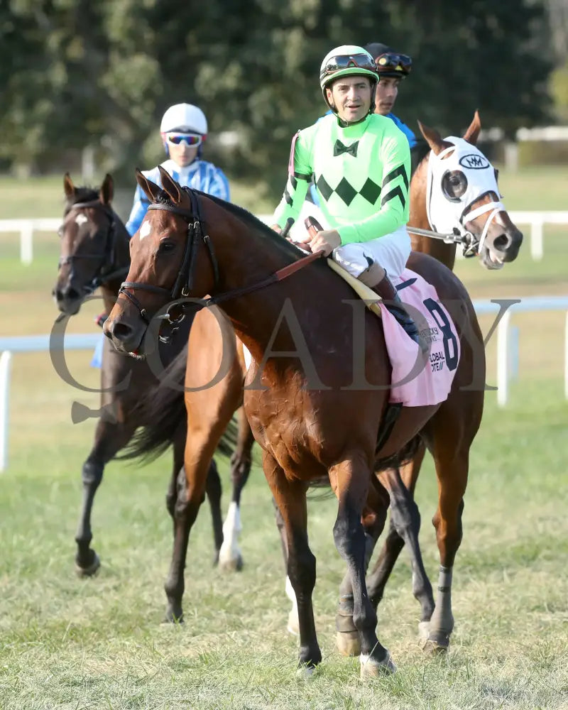 Brilliant Berti - Global Tote Gun Runner 090824 Race 10 Kd Come Back 01 Kentucky Downs