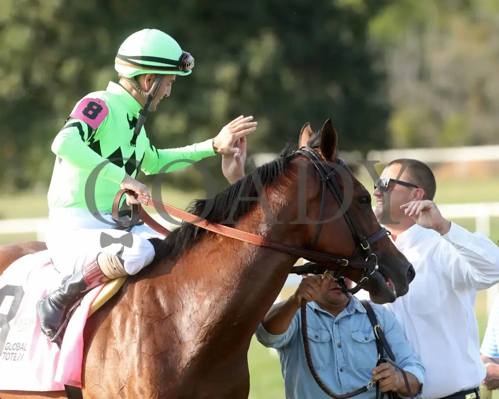 Brilliant Berti - Global Tote Gun Runner 090824 Race 10 Kd Come Back 02 Kentucky Downs