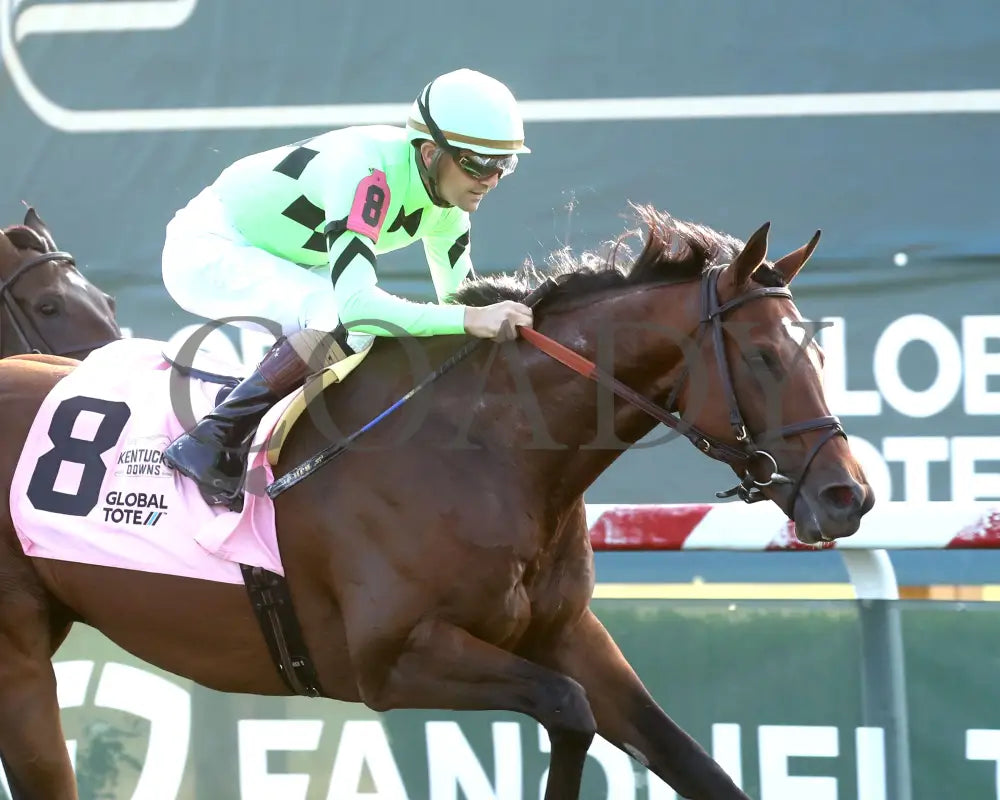 Brilliant Berti - Global Tote Gun Runner 090824 Race 10 Kd Finish 03 Kentucky Downs