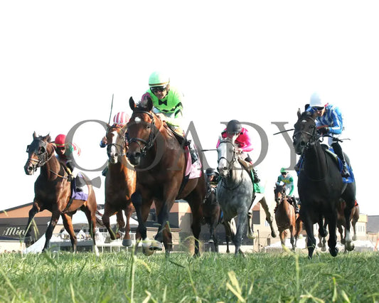 Brilliant Berti - Global Tote Gun Runner 090824 Race 10 Kd Under Rail 01 Kentucky Downs