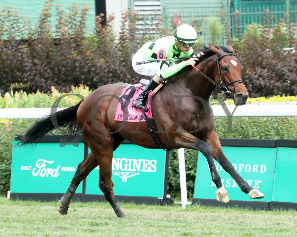 Brilliant Berti - The American Derby 109Th Running 06-29-24 R09 Cd Finish 02 Churchill Downs