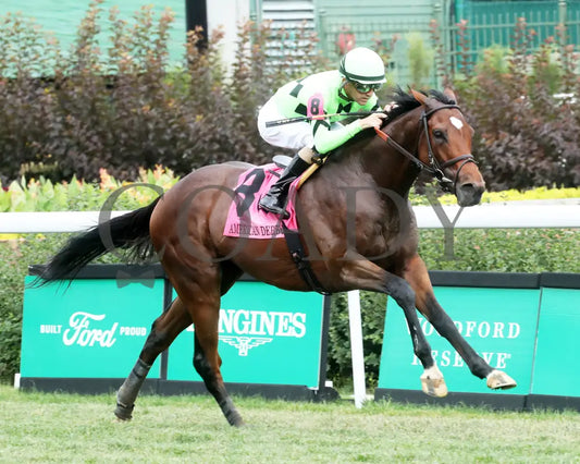 Brilliant Berti - The American Derby 109Th Running 06-29-24 R09 Cd Finish 02 Churchill Downs