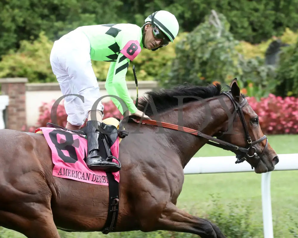 Brilliant Berti - The American Derby 109Th Running 06-29-24 R09 Cd Gallop Out 01 Churchill Downs