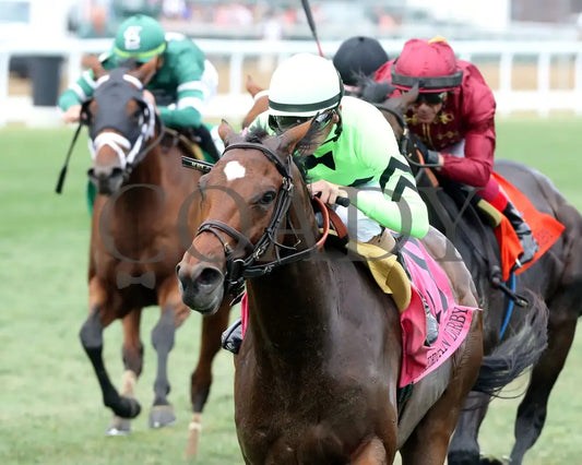 Brilliant Berti - The American Derby 109Th Running 06-29-24 R09 Cd Inside Finish 01 Churchill Downs