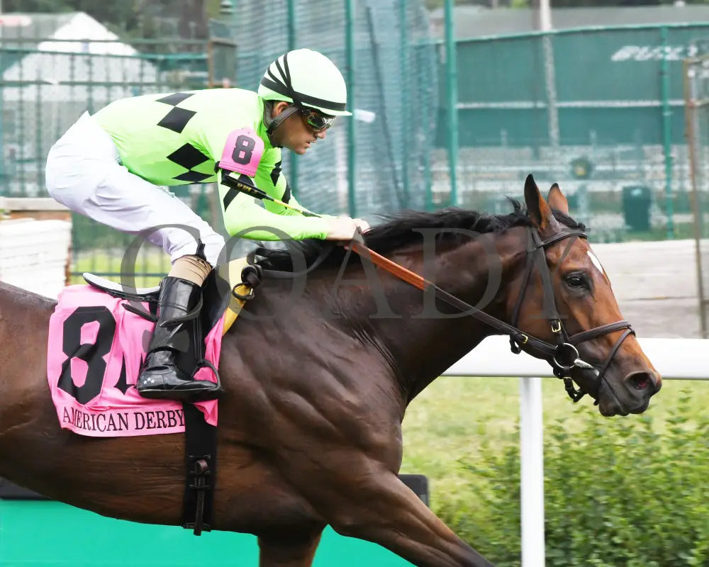 Brilliant Berti - The American Derby 109Th Running 06-29-24 R09 Cd Tight Finish 01 Churchill Downs