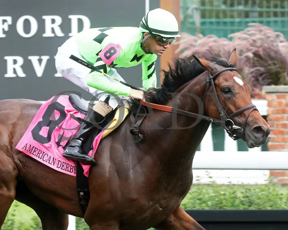 Brilliant Berti - The American Derby 109Th Running 06-29-24 R09 Cd Tight Finish 02 Churchill Downs