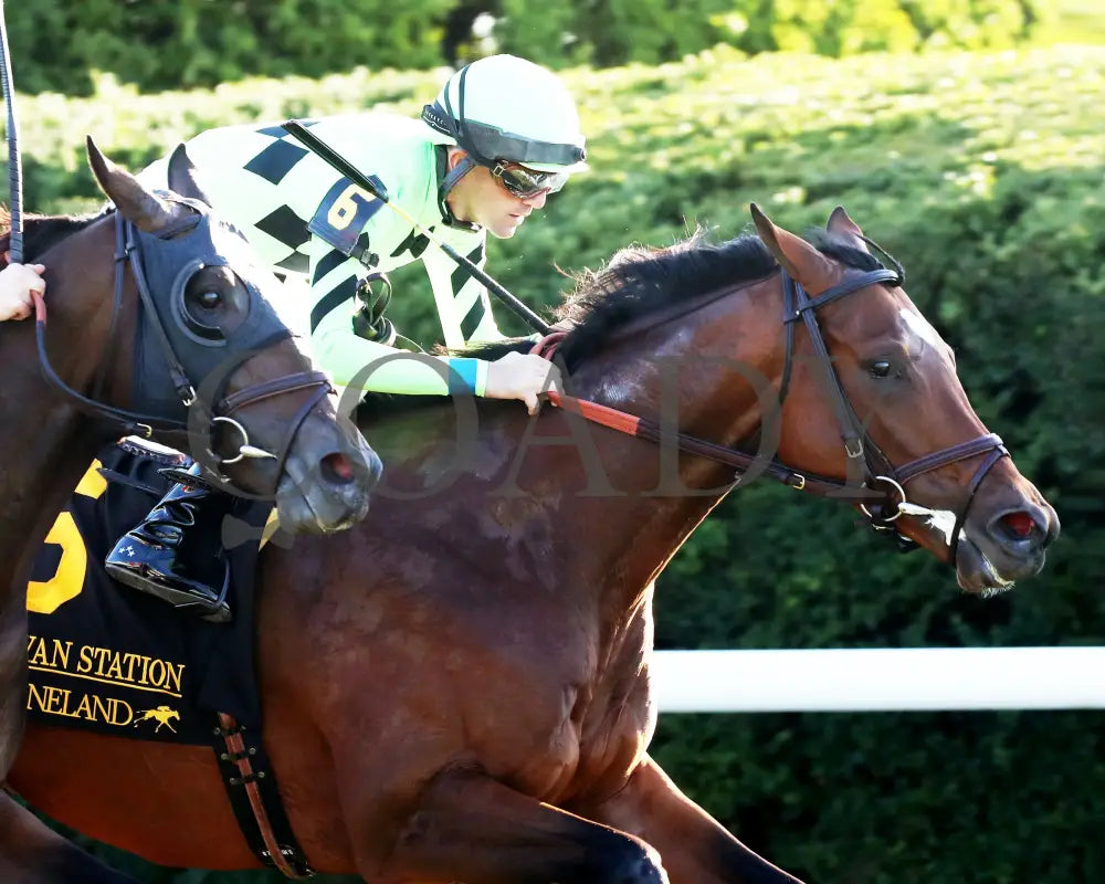 Brilliant Berti - The Bryan Station G3 10-26-24 R09 Kee Finish 03 Keeneland