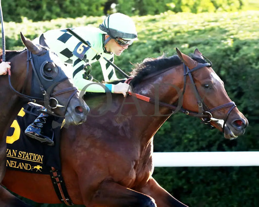 Brilliant Berti - The Bryan Station G3 10-26-24 R09 Kee Finish 03 Keeneland