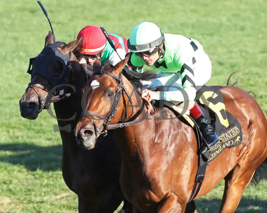 Brilliant Berti - The Bryan Station G3 10-26-24 R09 Kee Inside Finish 01 Keeneland