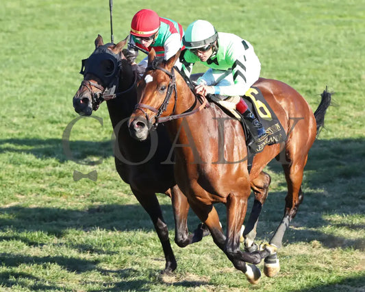 Brilliant Berti - The Bryan Station G3 10-26-24 R09 Kee Inside Finish 02 Keeneland