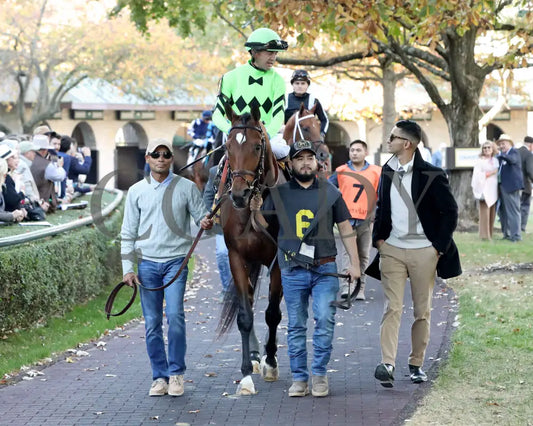 Brilliant Berti - The Bryan Station G3 10-26-24 R09 Kee Paddock 01 Keeneland