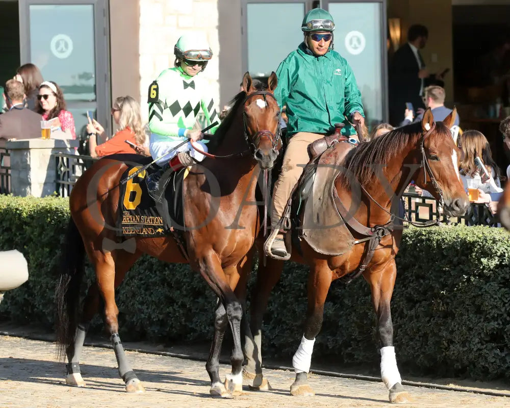 Brilliant Berti - The Bryan Station G3 10-26-24 R09 Kee Post Parade 02 Keeneland