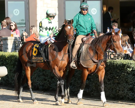 Brilliant Berti - The Bryan Station G3 10-26-24 R09 Kee Post Parade 02 Keeneland