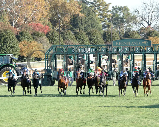 Brilliant Berti - The Bryan Station G3 10-26-24 R09 Kee Start 01 Keeneland