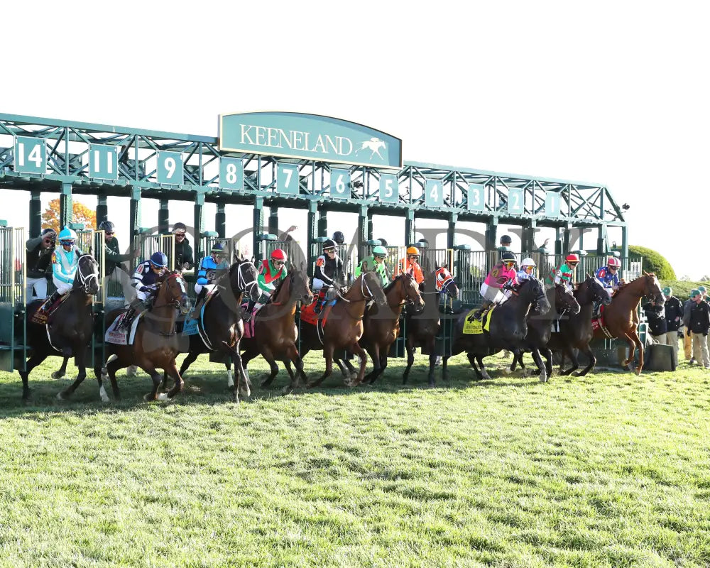 Brilliant Berti - The Bryan Station G3 10-26-24 R09 Kee Start 02 Keeneland